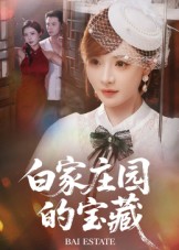 白家庄园的宝藏第33集